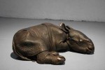 Bébé rhinoceros Indien