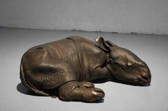 javan rhinoceros baby