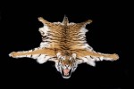 Tigre Carpette-Modifier