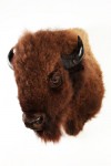 bison europeen