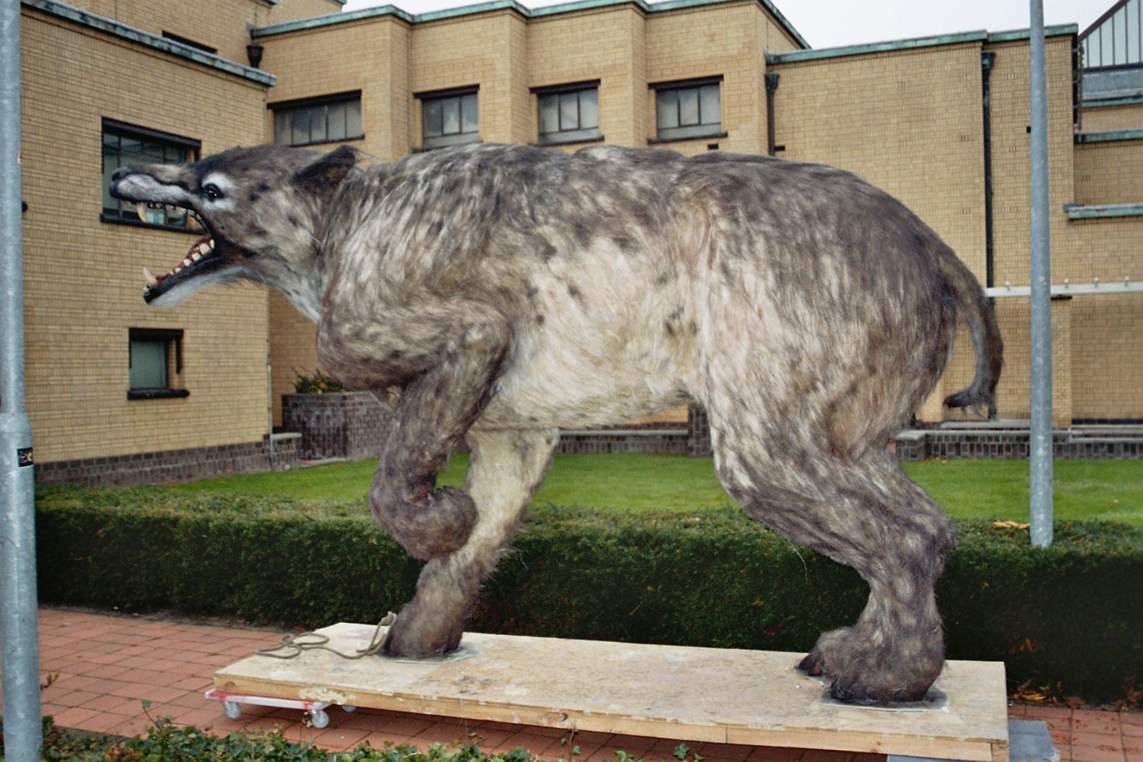 Andrewsarchus mongoliensis