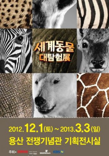 Animaux-des-5-continents-Seoul-novembre-2012