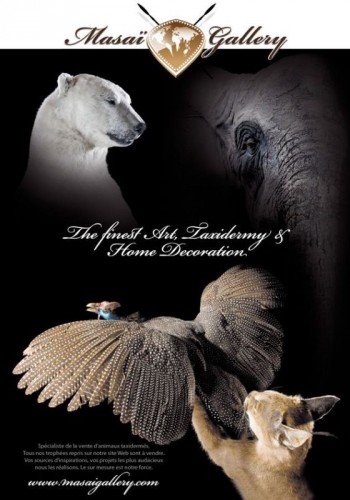 Jours-de-chasse-2011